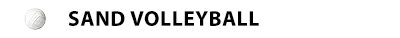 5 plays in a Sand Volleyball league